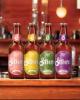 STEMPEL VINHO 600ML