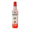 GIN INVICTUS MELANCIA 900ML