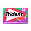 TRIDENT MELANCIA 25,2G