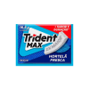 TRIDENT MAX HORTELA FRESCA 16,5G