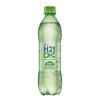 H2O 