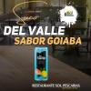 SUCO DEL VALE GOIABA