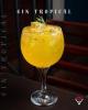 GIN TROPICAL