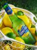 FLYING FISH 330ml