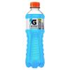 ISOTÔNICO FRUTAS SILVESTRES GATORADE ATIVIDADES DIÁRIAS GARRAFA 350ML
