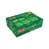 GOMA DE MASCAR PASTILHA EUCALIPTO DOCILE 18G