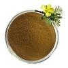 TRIBULUS TERRESTRE EM PÓ 100G