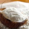 LEITE COCO EM PO 100g
