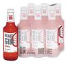 READY GIN MELANCIA GFA 275ML