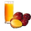 SUCO INTEGRAL MANGA 300ML