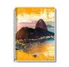 CADERNO 1/4 96FLS 1UN