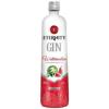 GIN ETERNITY WATERMELON 900ML