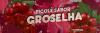 GROSELHA