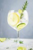 Drink Gin Tonica