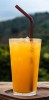 COPAO DRINK 500 ML