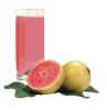 SUCO GOIABA 500ML