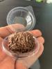 BRIGADEIRO GOURMET