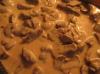 04-Esf.Esp.STROGONOFF DE CARNE
