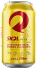 SKOL LATA 350ML