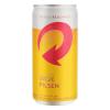 SKOL LATA 269ML 