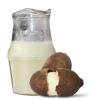 CUPUAÇU JARRA