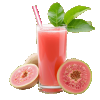 Suco de Goiaba 300ml