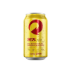 SKOL LATA 350ML