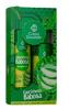 KIT SHAMPOO CONDICIONADOR CORPO DOURADO CAPRICHOSA BABOSA