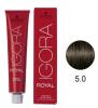 TINTURA IGORA CASTANHO CLARO 5.0