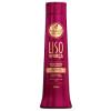 CONDICIONADOR HASKELL LISO COM FORCA 500ML 
