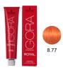 TINTURA IGORA LOURO CLARO COBRE EXTRA 8.77