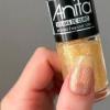 ESMALTE ANITA FOLHAS DE OURO 10ML