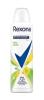 DESODORANTE REXONA AEROSOL ERVA DOCE 150ML