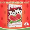 ZOMO WATERMELON MINT