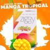 ZIGGY MANGA 