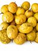 MARACUJA KG