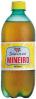 MINEIRO 600ML DESCARTAVEL PET