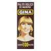 PALITOS DE DENTE GINA 25X100
