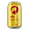 SKOL LATA 350ML