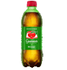 GUARANÁ ANTARCTICA 600ML