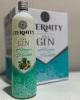 GIN ETERNITY ABACAXI E HORTELA 900ML