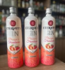 GIN ETERNITY PESSEGO/FRAMBOESA 900ML
