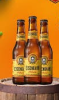 EISENBAHN 355ML LONG