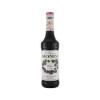 XAROPE MONIN VIOLETA 700 ML