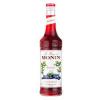 XAROPE MONIN MIRTILO 700 ML