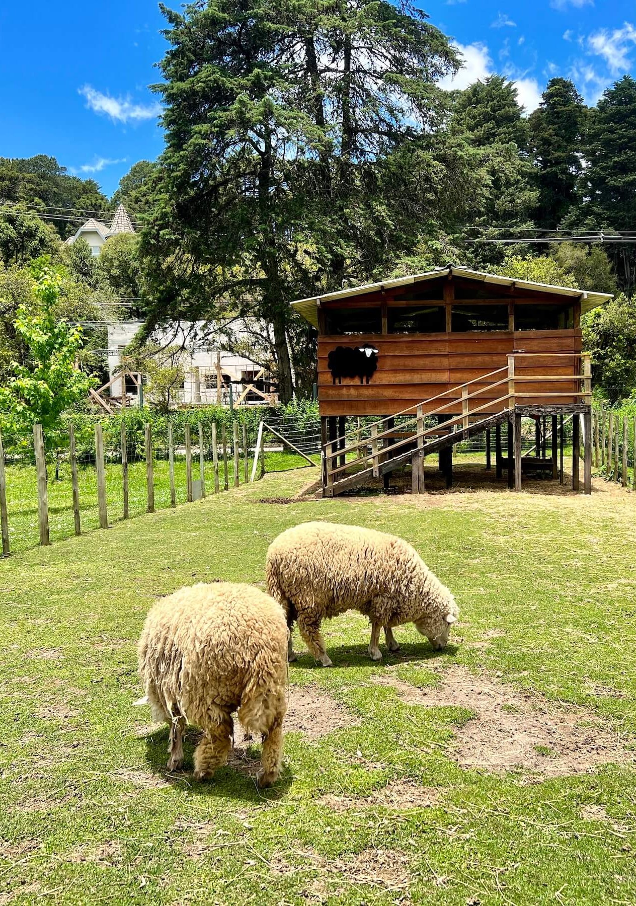 LAGOINHA2 | Datacaixa