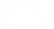 Small black dot near the bottom-left corner on a white background.